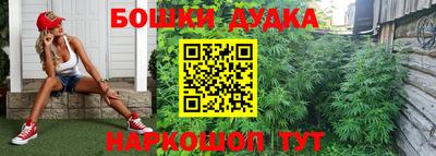 СК Донской